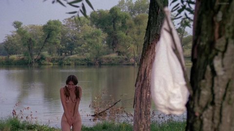 Monica Gayle - Naked Videos in Nashville Girl (1976)